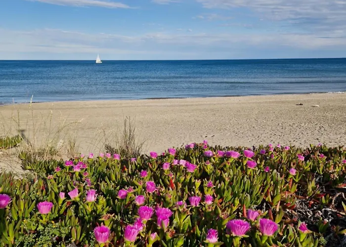 Village Naturiste Sensuel * Agde